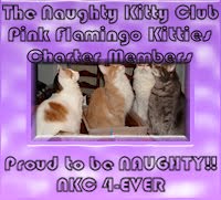 The Pink Flamingo Kitties