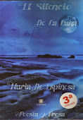 EL SILENCIO DE LA LUNA