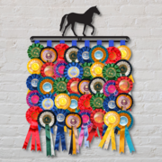 Horse Rosette Display