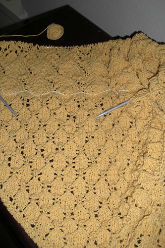 Swallowtail Shawl in Progress