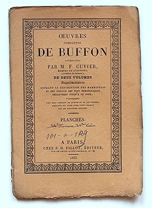 Oeuvres complètes de Buffon augmentées de deux volumes supplémentaires. Planches 101 - 109 de tom...