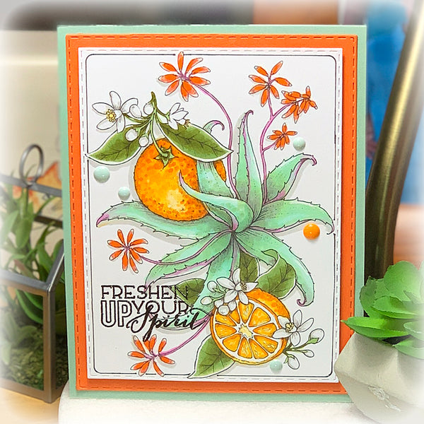 Aloe and Oranges Digital Stamp Set