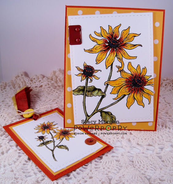 Black-Eyed Susan Digital Stamp Set