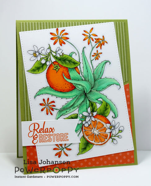 Aloe and Oranges Digital Stamp Set