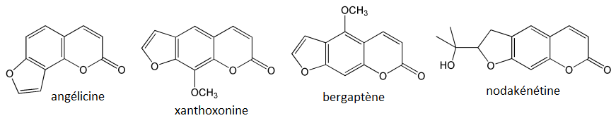 Différentes furocoumarines