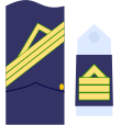 Sargento primero del Ejército del Aire.