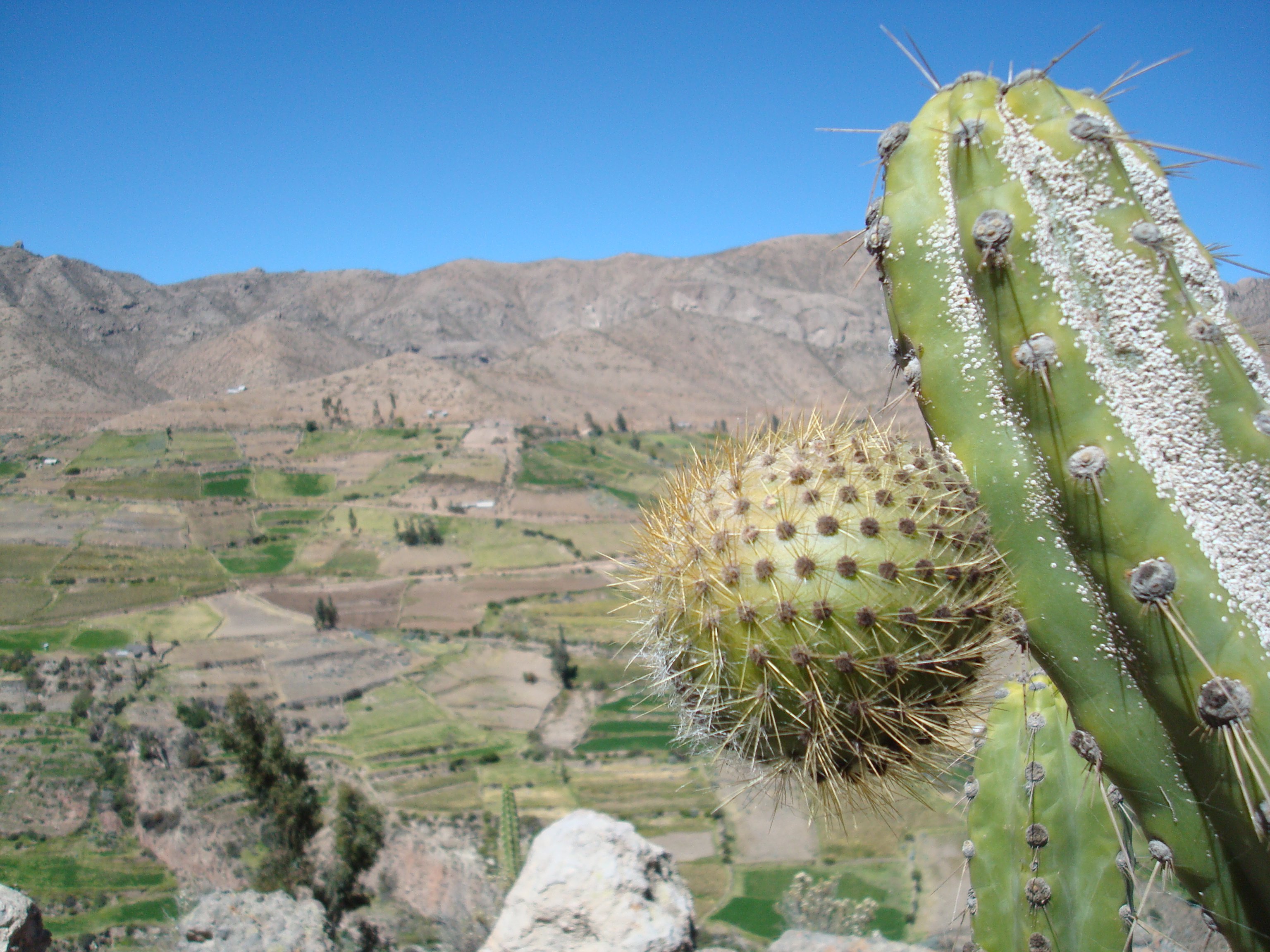 Pasaje de Huanca