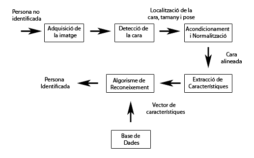 Face Recognition System Workflow