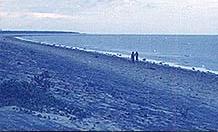 A view of the Chandipur beach during high-tide