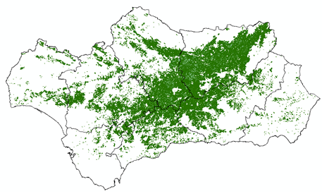 Distribución del olivar en Andalucía (principal productor de aceite de oliva a nivel mundial)[23]​