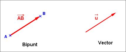 Bipunt i vector