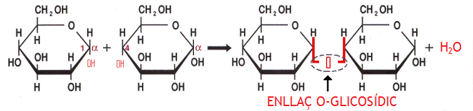 Enllaç glicosídic