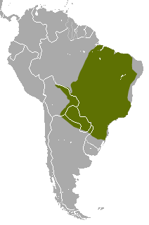 Área de distribución