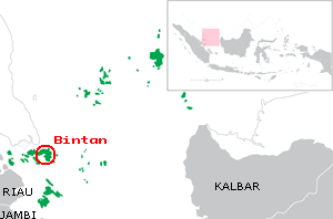 Bintans läge i Indonesien.