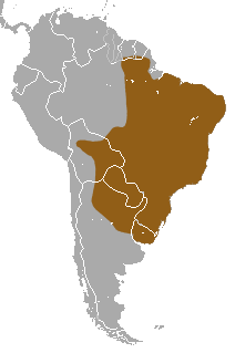 Distribución de Euphractus sexcinctus