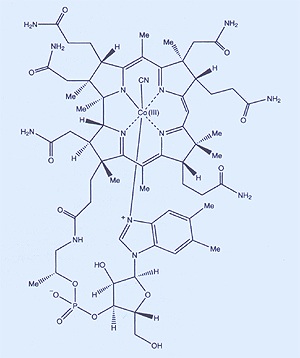 Kobalamin (vitamin B12) quruluşu