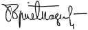 Boris Tadić's signature