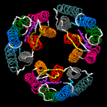 Bacteriorhodopsin trimer with one retinal molecule in each subunit seen from the extracellular side EC (PDB ID: 1X0S [26][27][28])