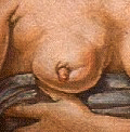 Detail Michelangelo