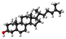 Ball-and-stick model of the desmosterol molecule