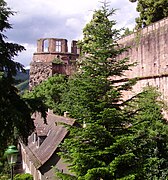 Westliche Stützmauer des Stückgartens mit dem Dicken Turm im Hintergrund und davor den Mauerzügen des Rondells