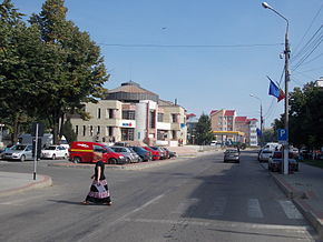 Vedere centrală