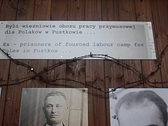 Photographs of prisoners of SS-Truppenübungsplatz Heidelager.