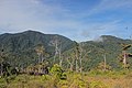 Puncak Gunung Arfak dari sisi barat laut