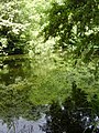 Image 47 Credit: O1ive Brockhill Country Park is dominated by a large grassy valley, bisected by the Brockhill Stream as it makes its way to the Royal Military Canal at Hythe. More about Brockhill Country Park... (from Portal:Kent/Selected pictures)