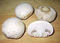 Image 28Agaricus bisporus, one of the most widely cultivated and consumed mushrooms (from Mushroom)