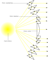 Representação do trajeto dos raios luminosos numa lente de Fresnel