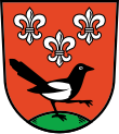 Elsterwerda – vlajka