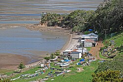 Skyline of Whangaruru