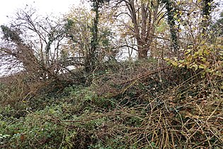 Motte féoedale d'Omal