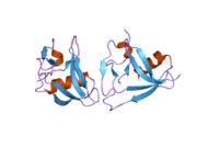 2ott: Crystal structure of CD5_DIII