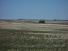 Pradera en Alberta, Canadá.