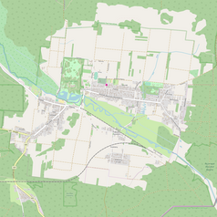 Mapa konturowa Białowieży, blisko centrum na lewo znajduje się punkt z opisem „Obelisk w Białowieży”