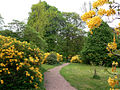 Het Ohrbergpark in het voorjaar met bloeiende azalea's