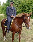 Generalmajor Alf Sandqvist till häst i samband med inspektion av Hvetlanda skvadron, Smålands husarer 2005.