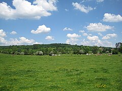 Paysage typique en été.