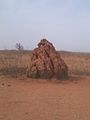 Termitière de la brousse sénégalaise.