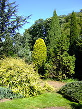 Park Härle, Bonn