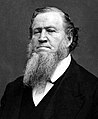 Image 4Brigham Young led the first Mormon pioneers to the Great Salt Lake. (from Utah)