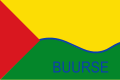 Vlag van Buurse