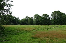 Rest van de Kolverenschans