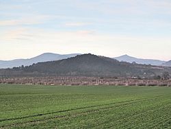 Baba u Děčan od jihu. V pozadí hrad Oltářík