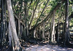 Sa Fort Myers, Florida, Estados Unidos.