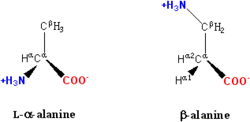 Comparison of the structures of alanine and beta alanine. In alanine the side chain is a methyl group, in beta alanine the side chain contains a methylene group connected to an amino group and the alpha carbon lacks an amino group. The two amino acids therefore have the same formulae but different structures.