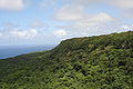 E groosse Däil vo dr Ostsite vo ʻEua ghört zum Eua National Park. Foto mit Blick gege Süde, von ere Blattform am Rand vom Park us.