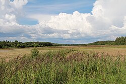 Hangon lentokenttä, kuvattuna pohjoisen suuntaan kiitotien viereltä.